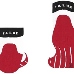 Falke RU4 Short Homme -Tenue Active main 1331822 62d8cb7d71872 967a