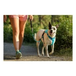 Ruffwear Hi & Light Harness Bleu 14 Ruffwear Hi & Light Harness Bleu -Tenue Active main 311196 198862 7 74e1