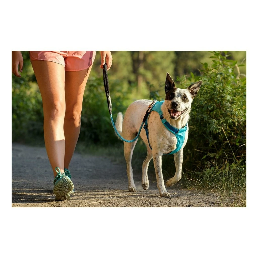 Ruffwear Hi & Light Harness Bleu 7 Ruffwear Hi & Light Harness Bleu – Image 7