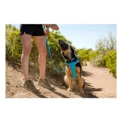 Ruffwear Hi & Light Harness Bleu 15 Ruffwear Hi & Light Harness Bleu -Tenue Active main 311196 198863 8 c40b