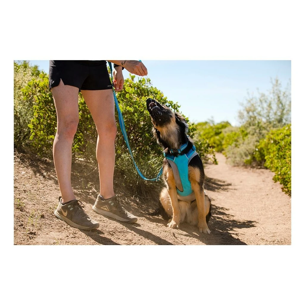 Ruffwear Hi & Light Harness Bleu 8 Ruffwear Hi & Light Harness Bleu – Image 8