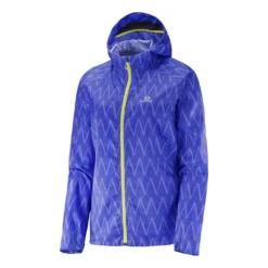 Salomon Fast Wing Graphic Hoody Femme