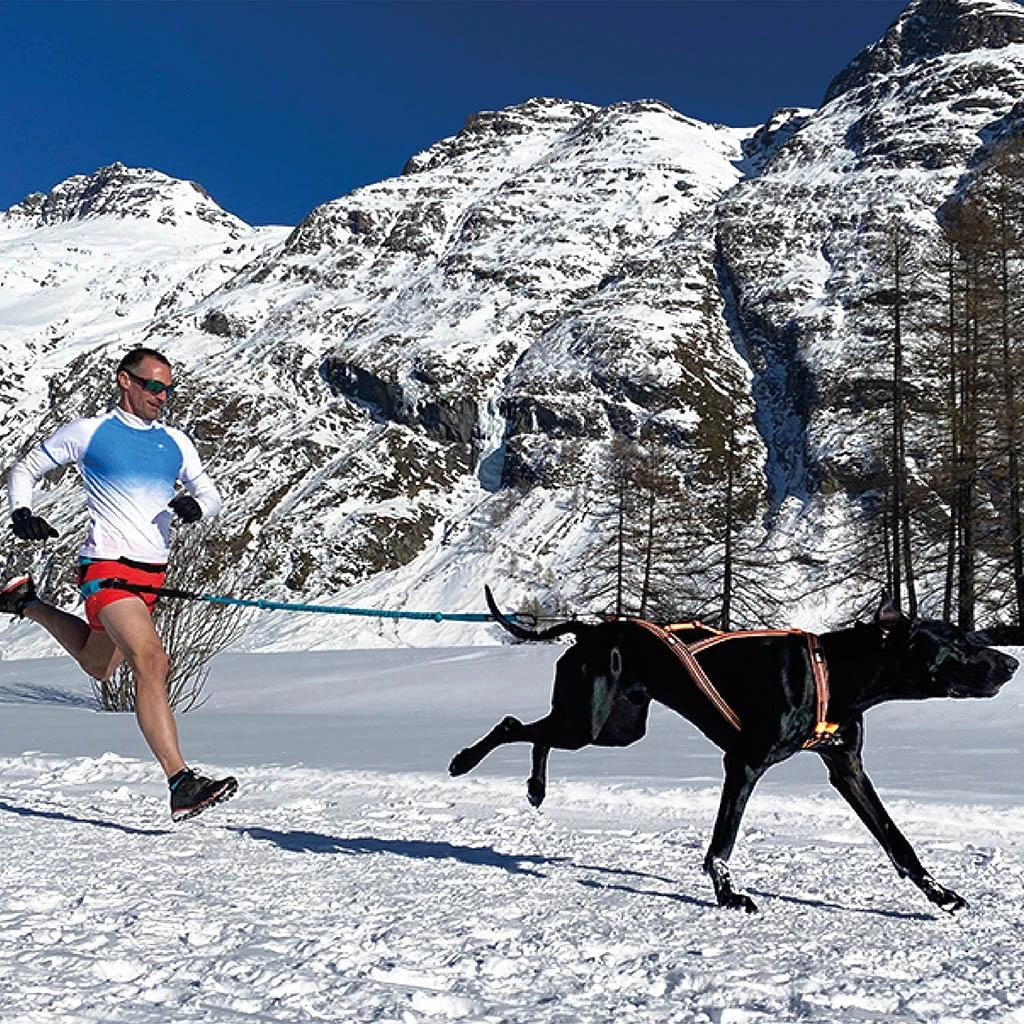 I-Dog Harnais Canicross Sport X-Back One 2 I-Dog Harnais Canicross Sport X-Back One – Image 2