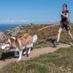 I-Dog Harnais Canicross Sport X-Back One 7 I-Dog Harnais Canicross Sport X-Back One -Tenue Active main GRLMI05 2 8049