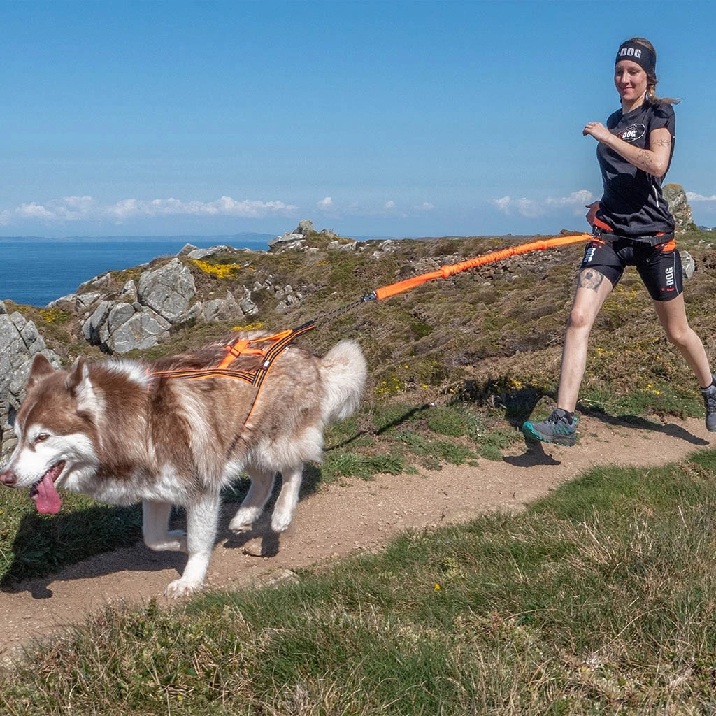 I-Dog Harnais Canicross Sport X-Back One 3 I-Dog Harnais Canicross Sport X-Back One – Image 3