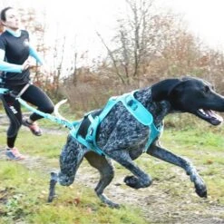 I-Dog Longe Opale Dog ALM Medium -Tenue Active main GRLMI21 copie 8e4a