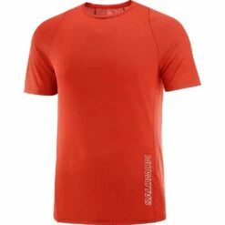 Salomon Sense Aero Short Sleeve Tee Homme
