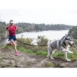 I-Dog Longe Traction Noir -Tenue Active main photo pres longe I DOG 02 1 1 fced